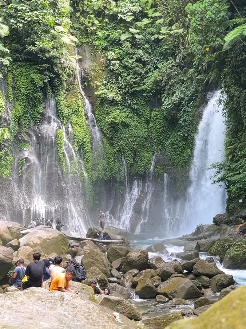 Peserta di Lau Berte